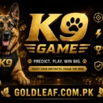 K9 Game